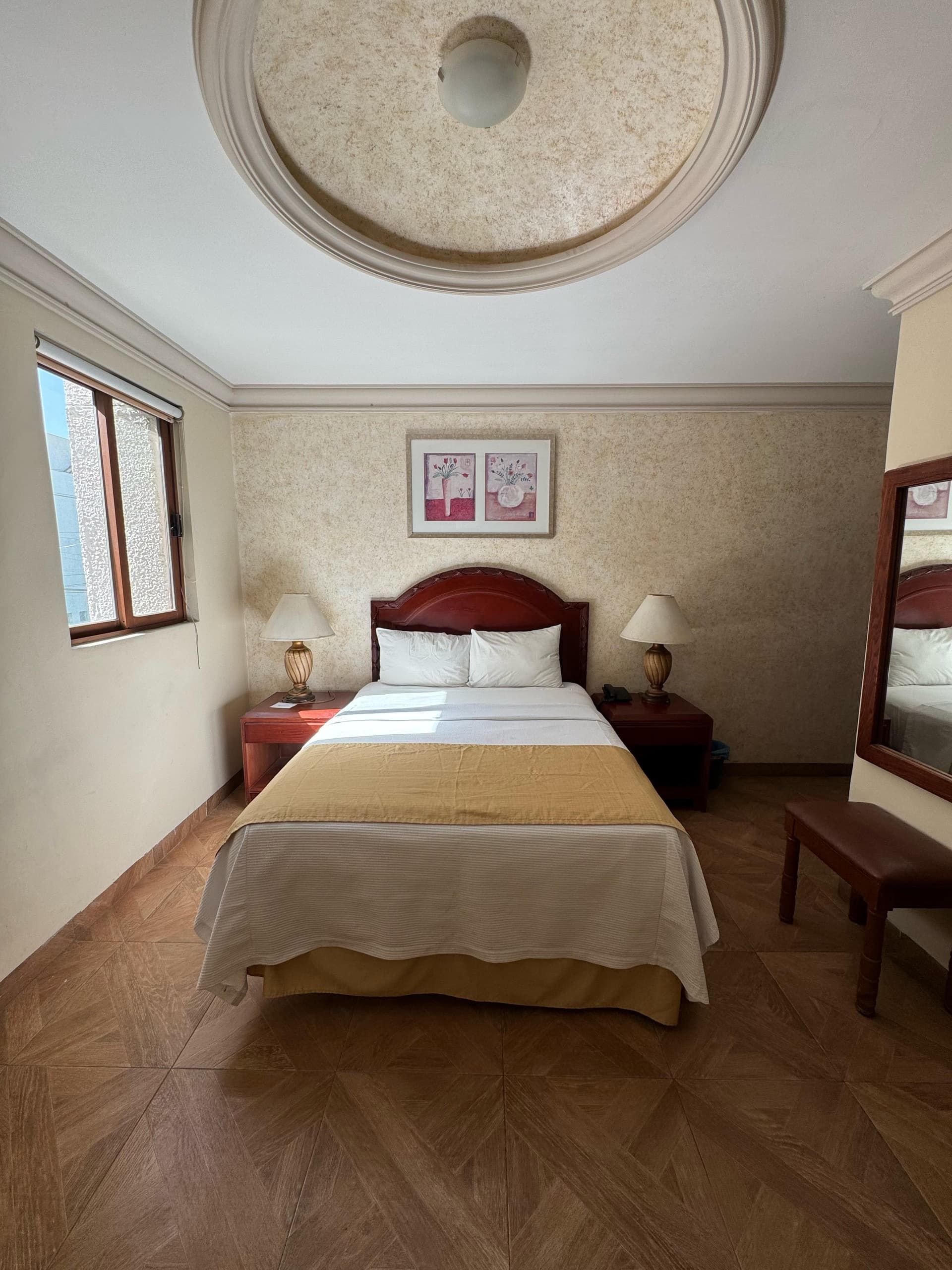 Hotel Plaza Express imagen 12